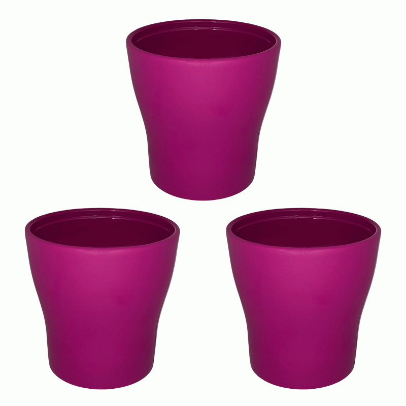 3 PACK MACETAS CYCLAME GLOSS