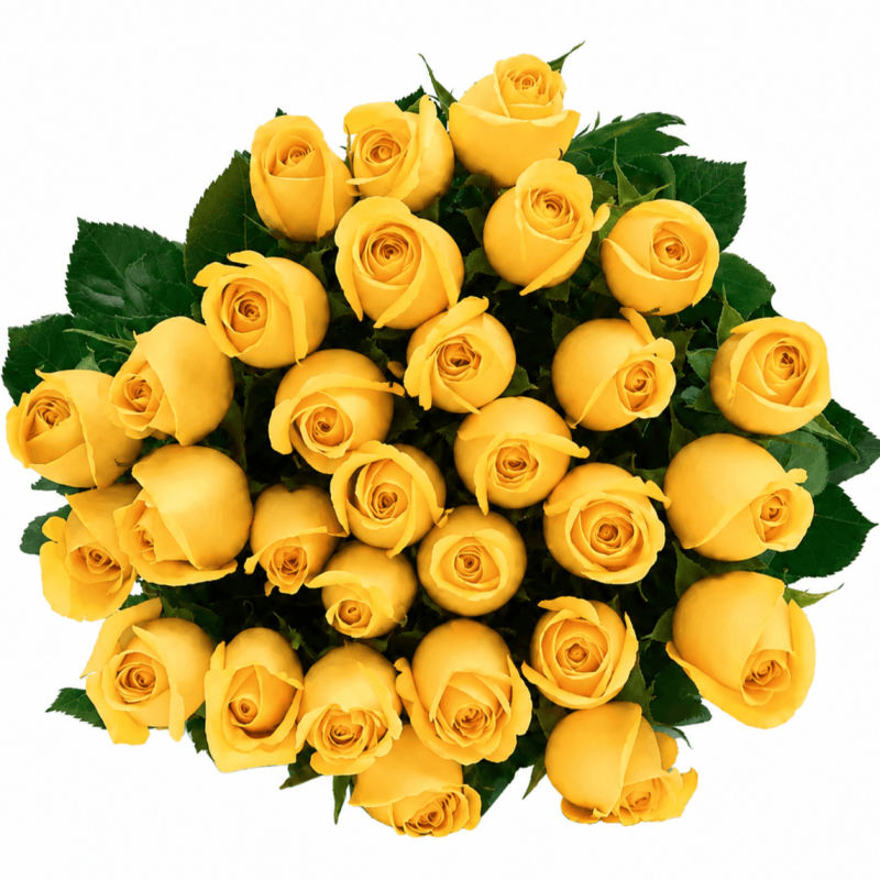 ROSE JAUNE BOUQUET